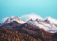 探索极致娱乐新纪元：九游娱乐带你玩转现代生活